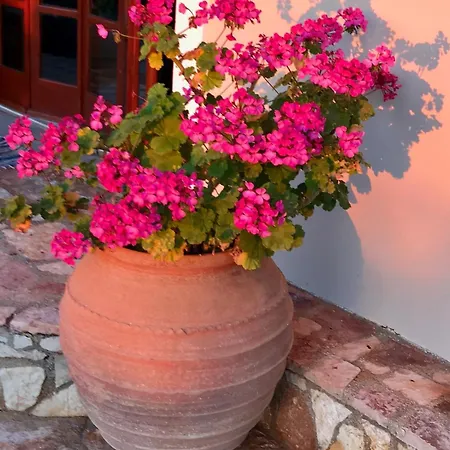Casa Nobile * Lavonikes