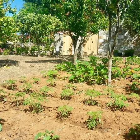 Casa Nobile Villa